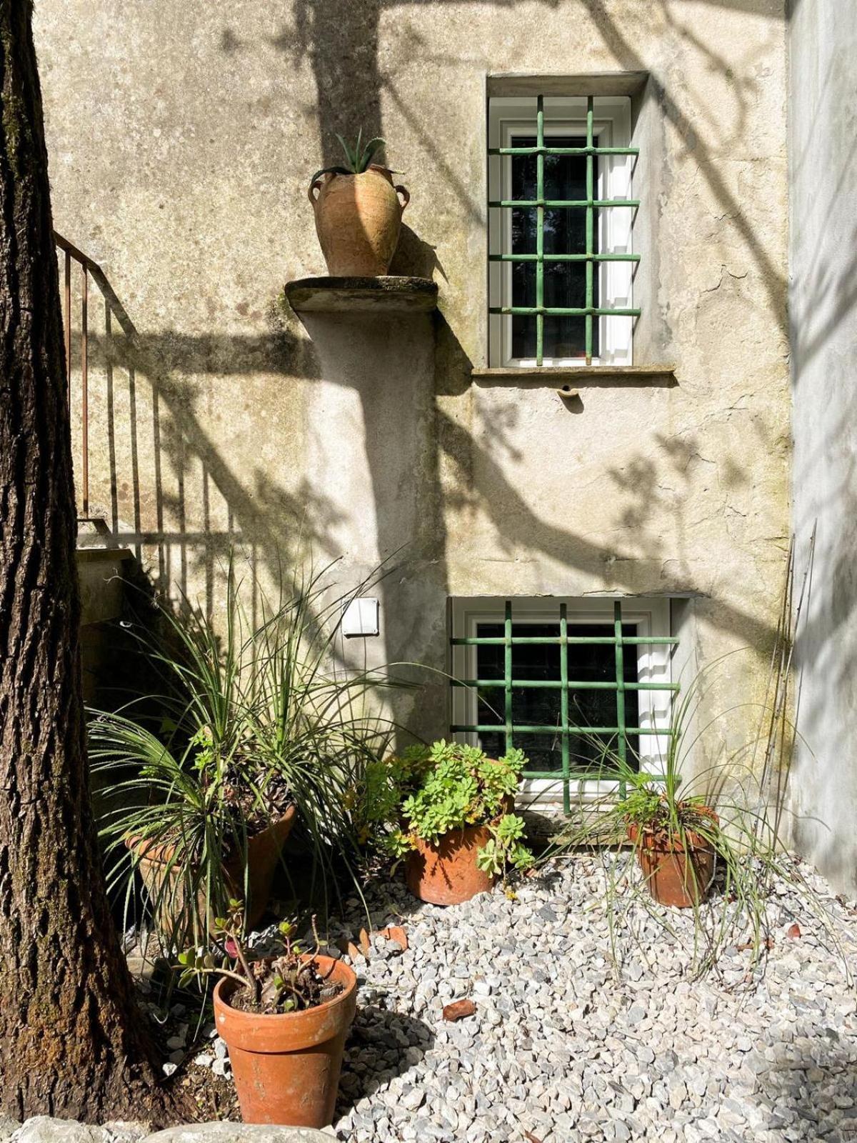 Ferienwohnung Residenza Nemus Mare E Montagna Graveglia Exterior foto
