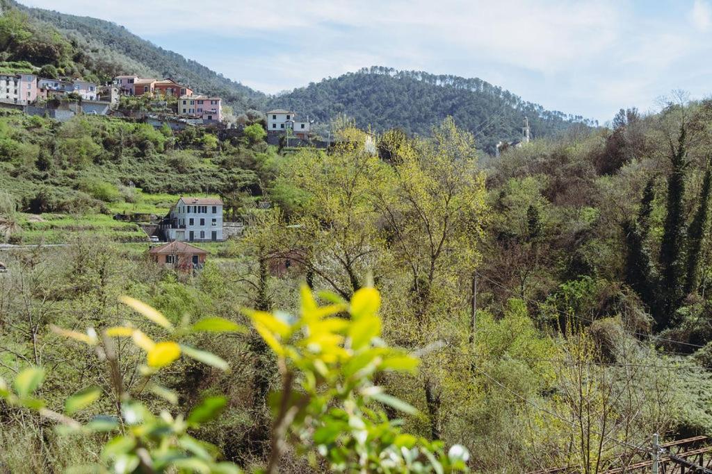 Ferienwohnung Residenza Nemus Mare E Montagna Graveglia Exterior foto